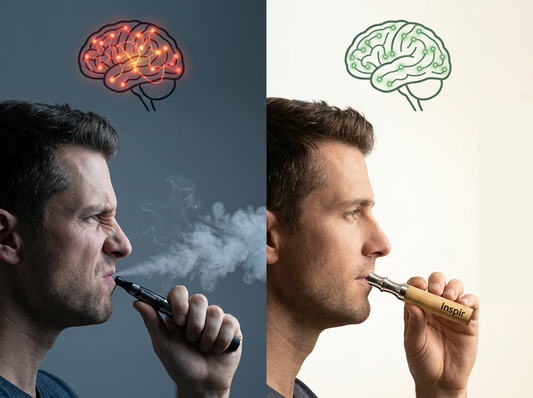 Inhalateur naturel vs vape : lequel choisir pour arrêter de fumer ?